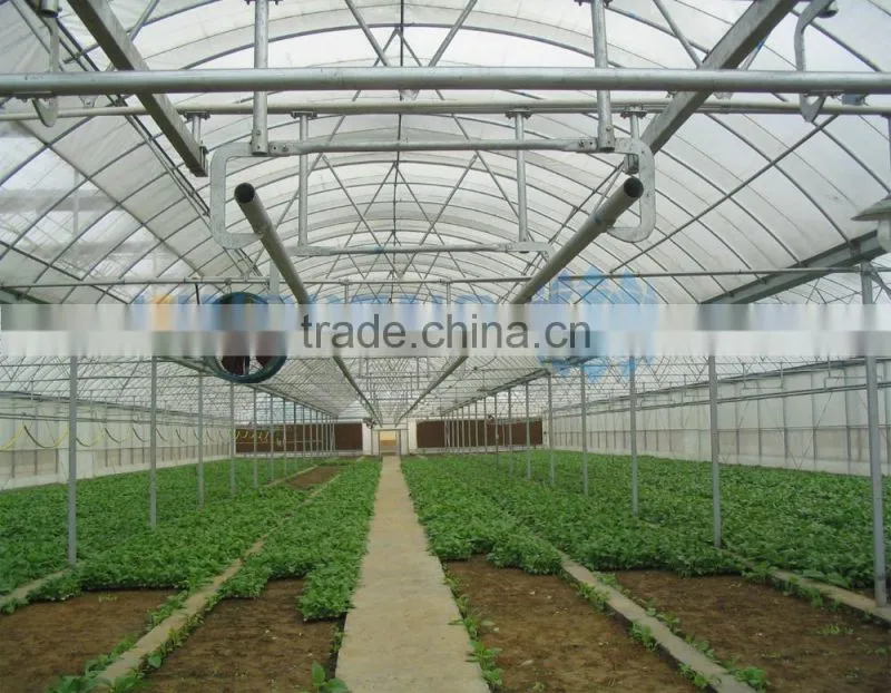 Plastic Film Greenhouse for Vegetable-growing