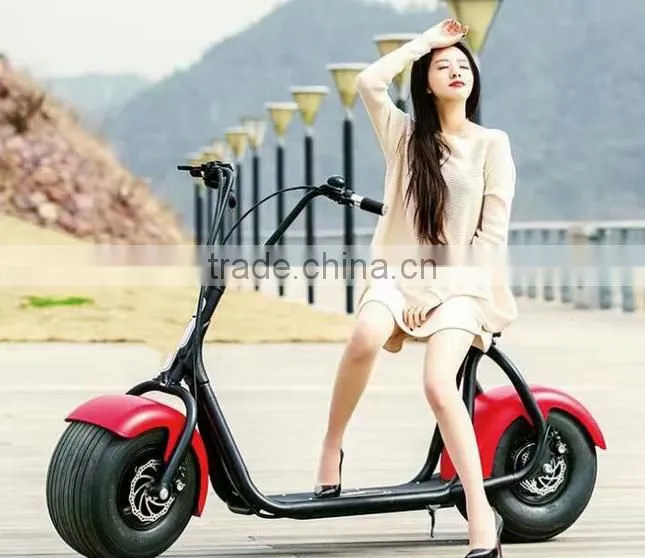 Fahshion 800W/1000W Brushless motor Adult Electric Scooter, 2 Wheels Electric scooter (TKE-S800)