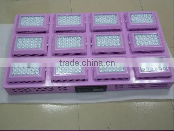 you can not miss the 800 W led lights for growing plants