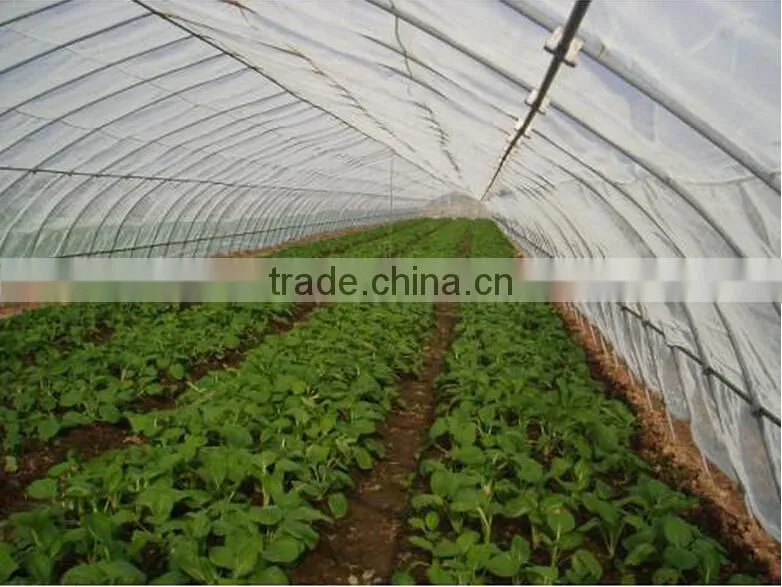 Insect netting/greenhouse covers insect screen mesh/insect net for bees proof