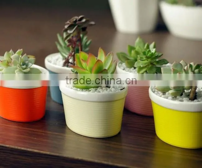 New design ship shape colorful ceramic flower pots for livingroom