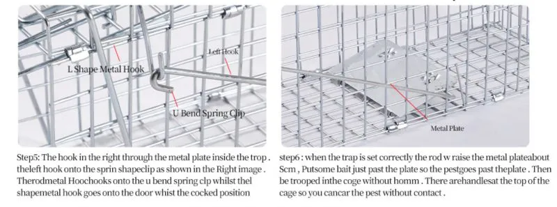 Humane Live Animal Cage Trap Kit for Humane Catch Release Rodent Small Cat, Rabbits, Squirrel, Opossum, Squire, Raccoon