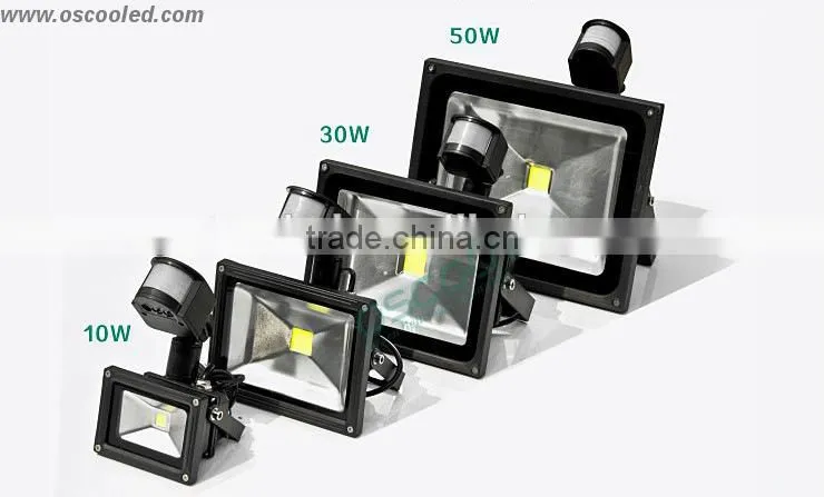 Outdoor IP65 IR/RF RGB PIR Motion Sensor Security LED Floodlight 10W