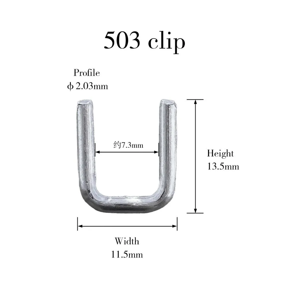 503.jpg
