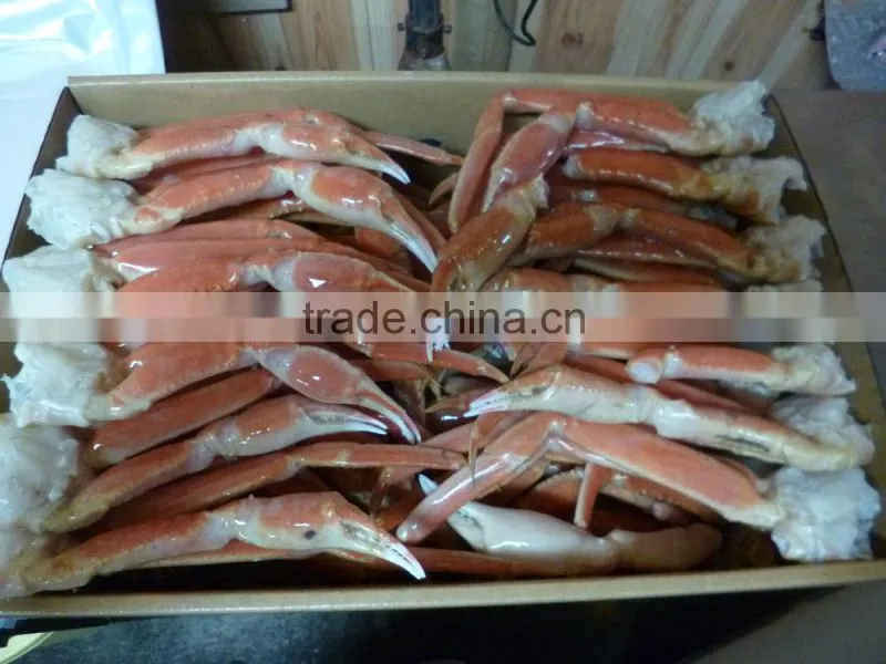 Delicious frozen seafood crab , Other seafoods also available