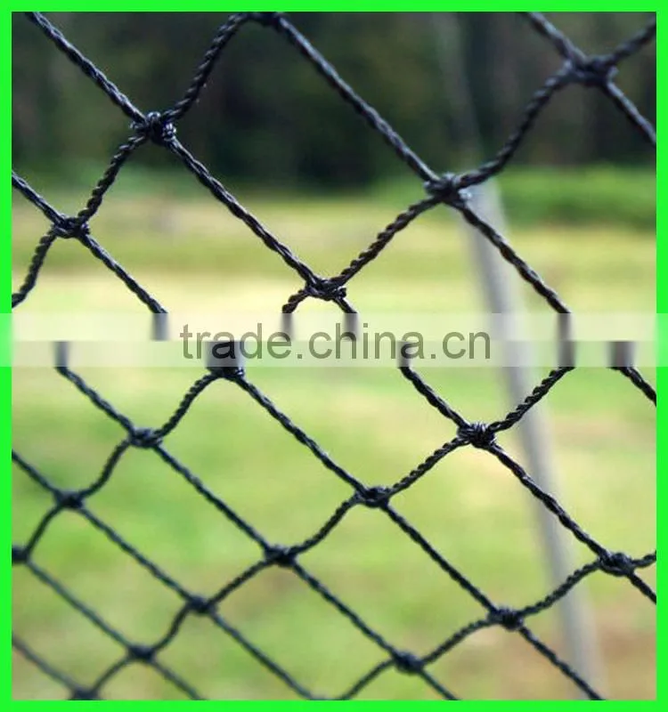 Clear anti bird hail cover net/uv resistance woven mesh net/reinforced hail guard net