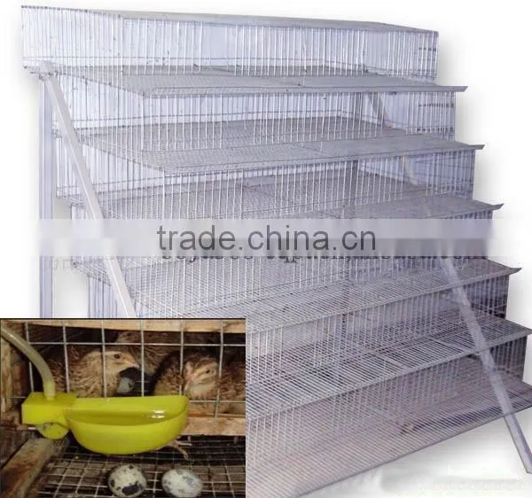 quail cage with cup type automatic drinker for poultry farming