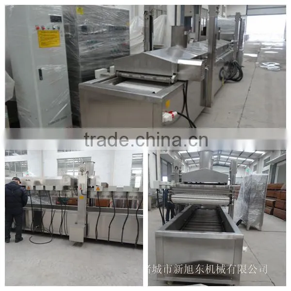 automatic plantain banana chips frying processing line; Plantain Chips Productioin Line manufacturer
