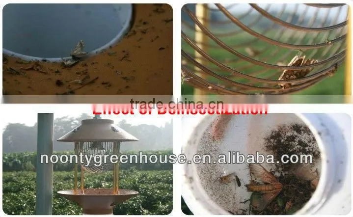Electric Pest Killer Light