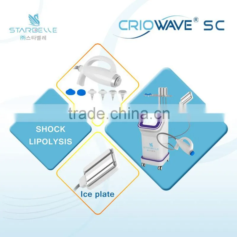 Slimming Fat Freeze Vertical Slimming Freeze Machine Salon Use