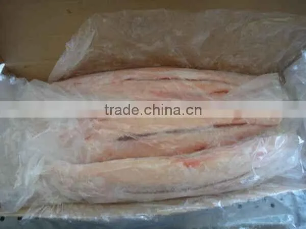 Well trimmed frozen fish fillet