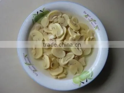 Good quality Canned mushroom pieces