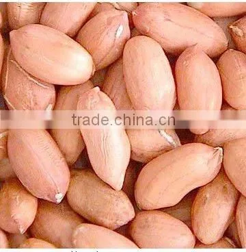 Chinese shandong new crop raw peanut kernels