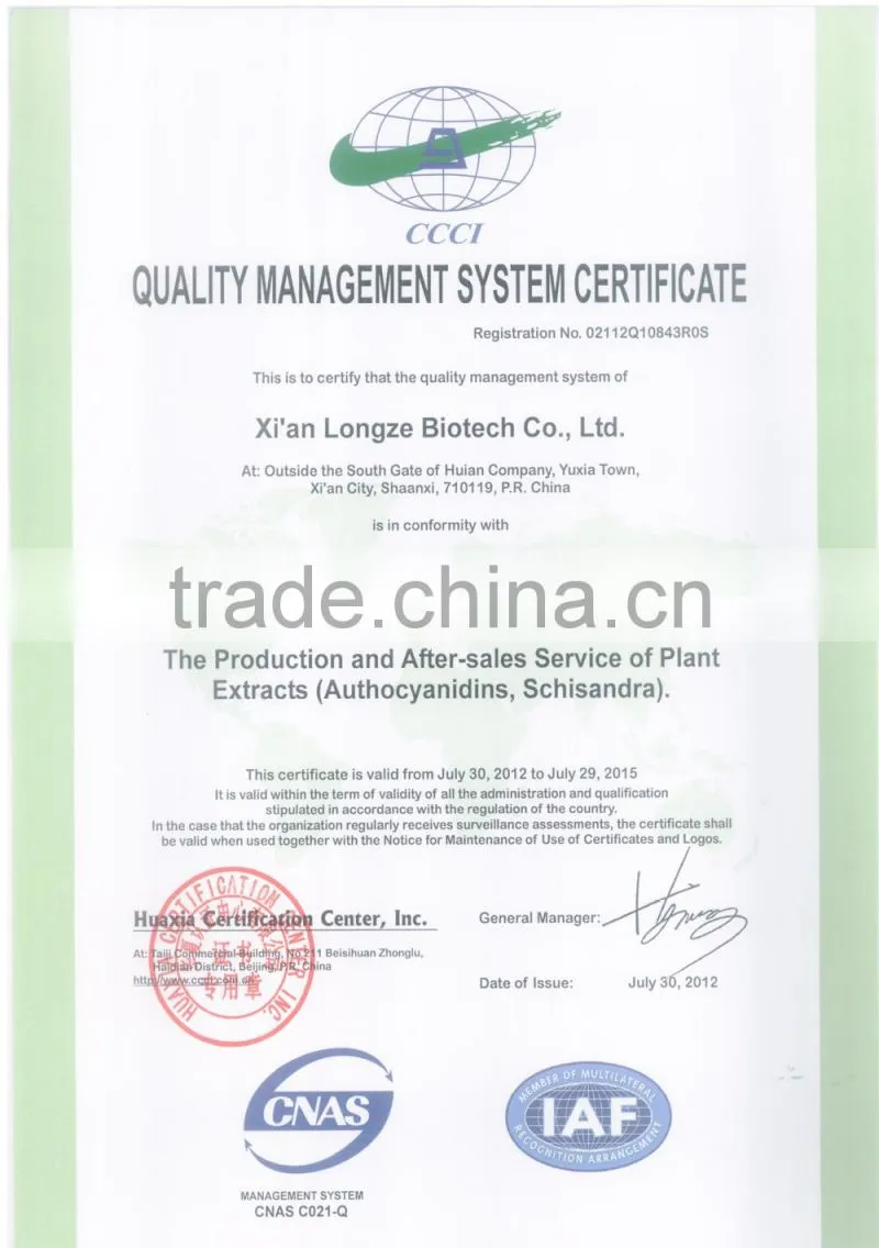 Echinacea Purpurea Extract echinacea purpurea extract in bulk