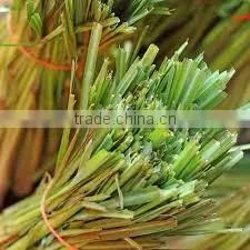 lemon grass oil
