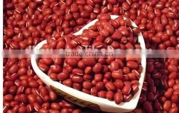 JSX hand picked red bean soup greatest export red kidney beans