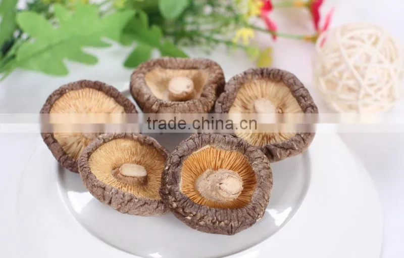 Shiitake mushroom/ Dried Shiitake Mushroom Exporter