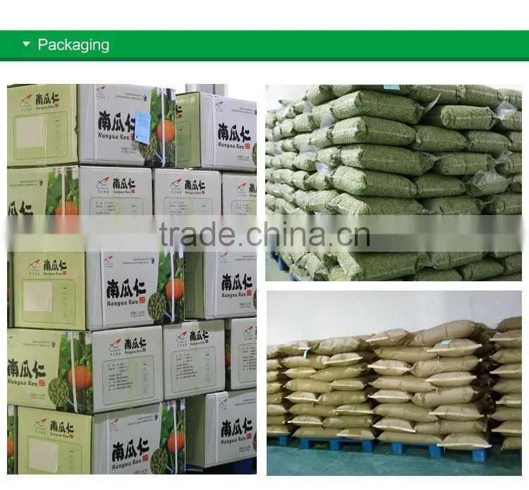 Sell Shine Skin Pumpkin Seeds Kernels and GWS pumpkin seeds Kernels and GWS pumpkin seeds
