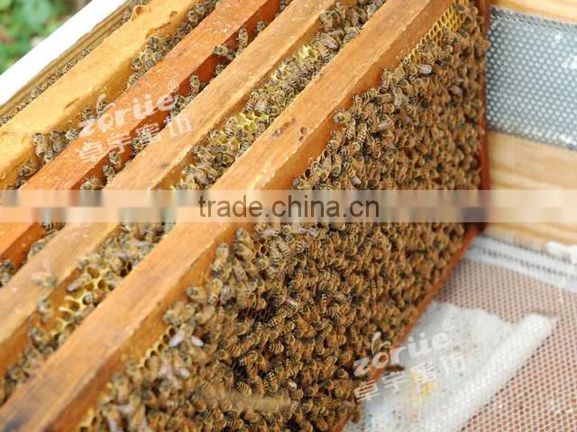 customized beekeeping equipment aluminum beehive