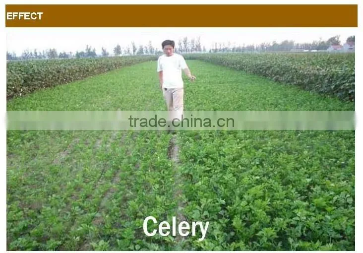 High Quality Organic Fertilizer With 45% Organic Matter(granluar or powder)