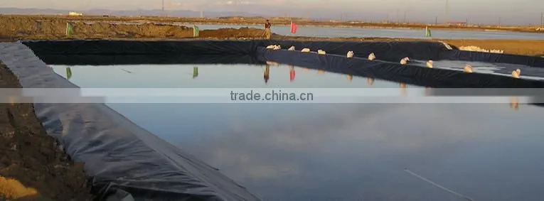 Arowana Fish Farm Pond Liner HDPE Geomembrane Black Rolls