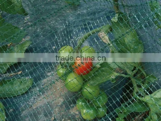 Bird control netting/Anti-butterfly netting/Plant support netting