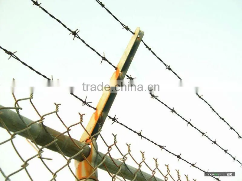 High Quality and Low Price Electro&Hot Dipped Galvanized Barbed Spiral Wire Iowa(Joint Venture Manufacturer)