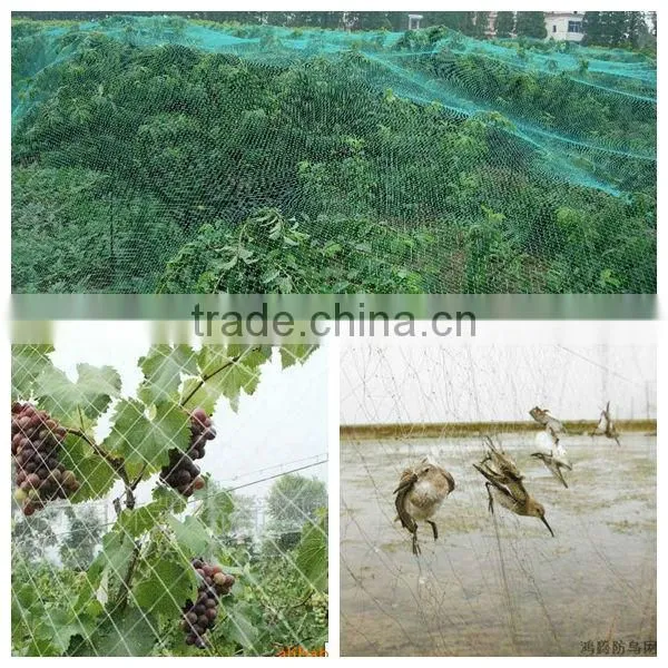 2014 hot sale hdpe bird capture net