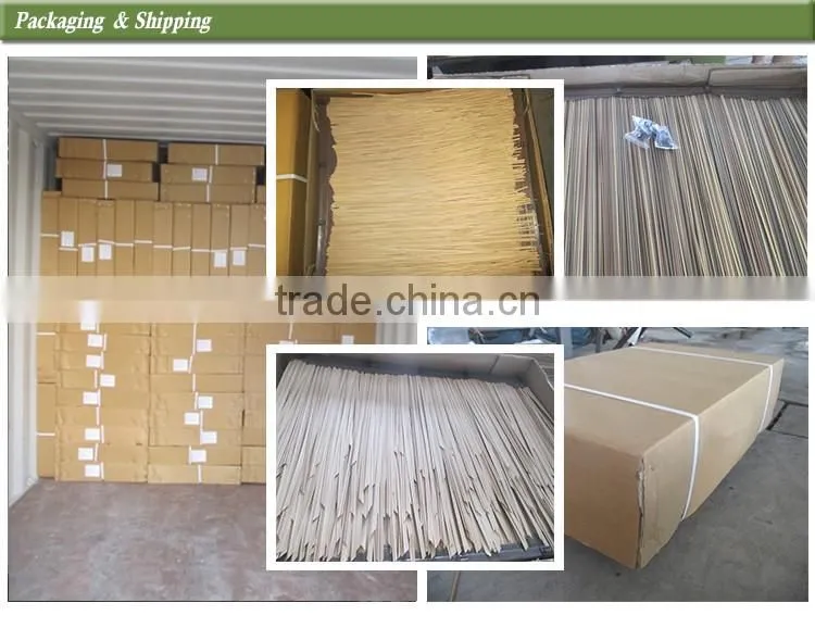 roofing tiles for houses- GreenShip
