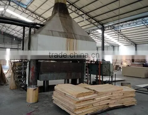 Wood Hydraulic Hot Press Machine/Hot Press for Plywood Production