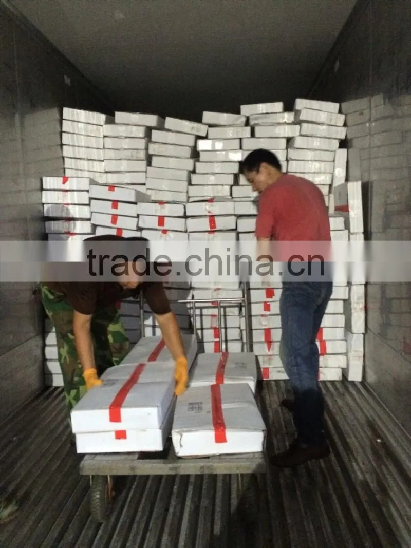 fast delivery sea frozen mahi mahi portion 400-800g/pc