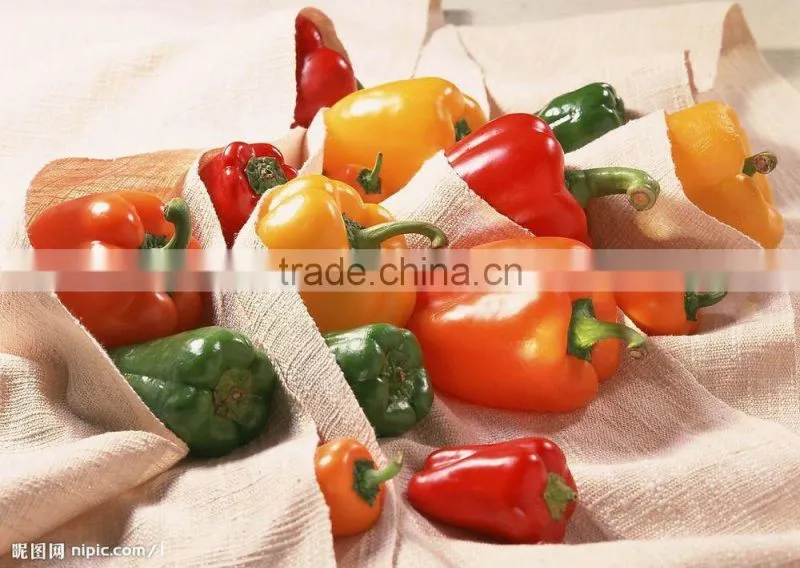 Multifunction Manual Vegetable Slicer,Fruit Cutter,Onion Chopper
