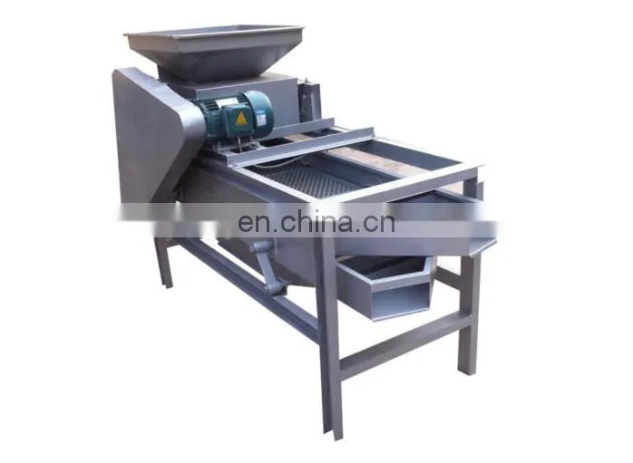 Taizy Badanmu kernel shelling machine/ Badanmu cracking machine