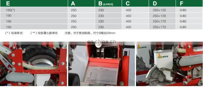 Trailed vegetable seeder