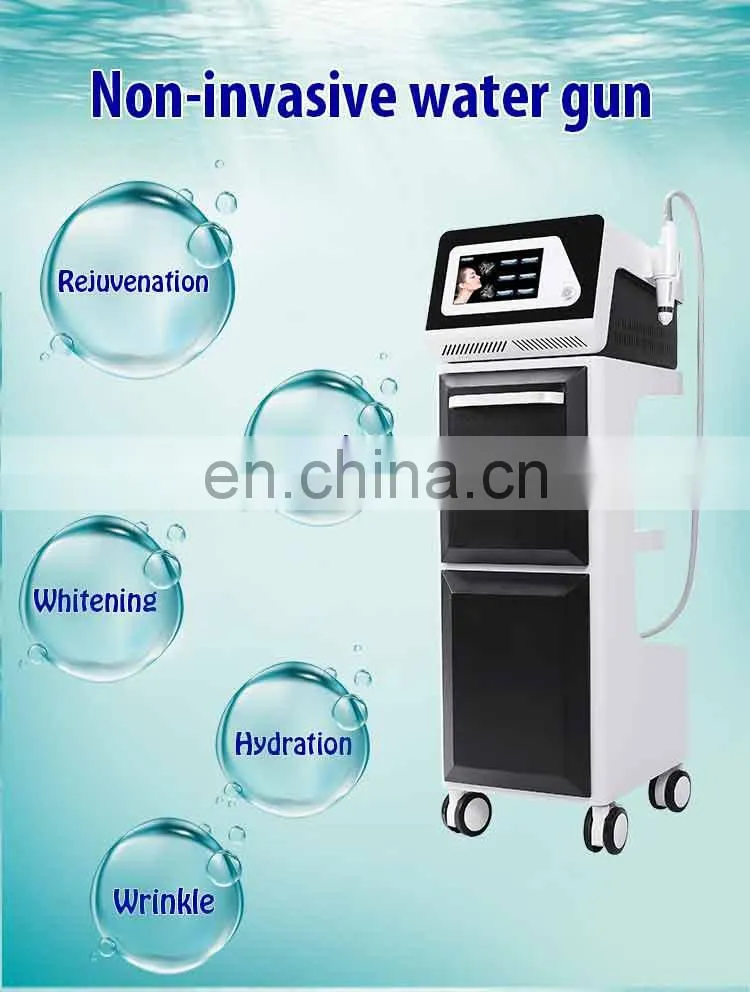 Seyo TDA Needle Free Mesotherapy Injection Gun Air Pressure Injector Gun for Whiten