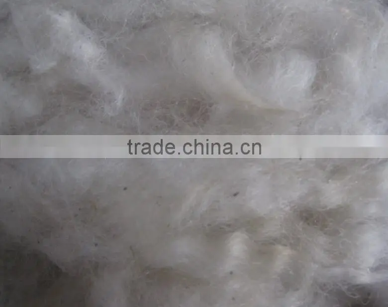 Tannery factory Scoured Australia wool