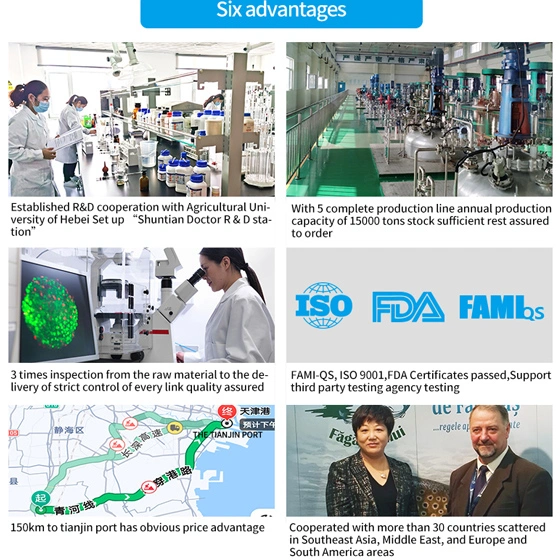 Hebei Shuntian Biotechnology Co., Ltd. company overview - view 1