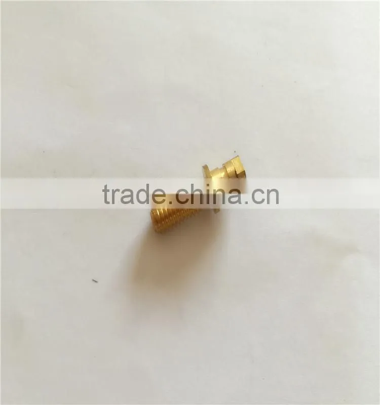 Brass Screw