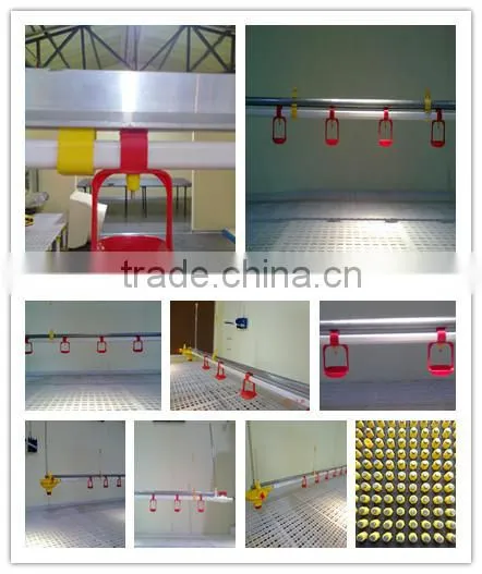birdsitter jinan mingxiao broiler rate poultry house equipment