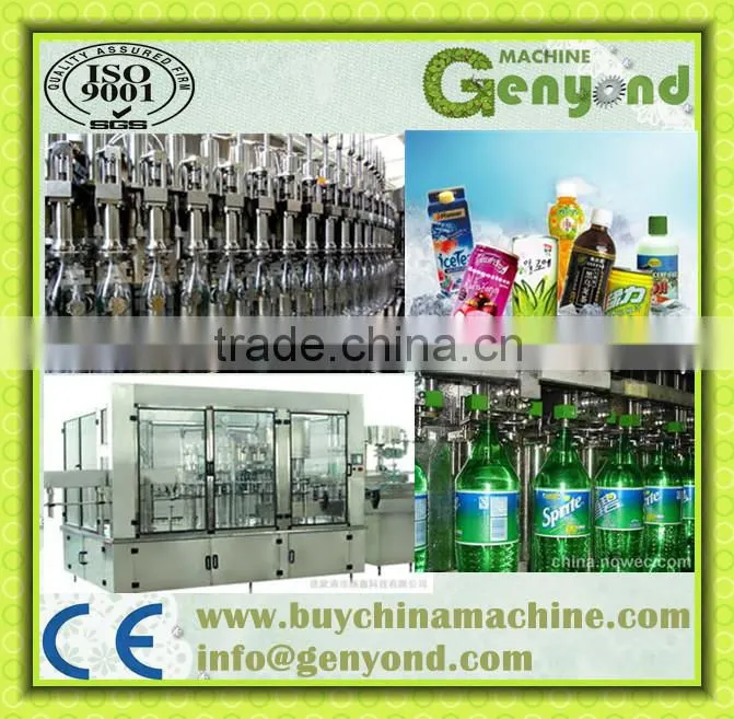Complete Fruit Juice Production Line with factory price