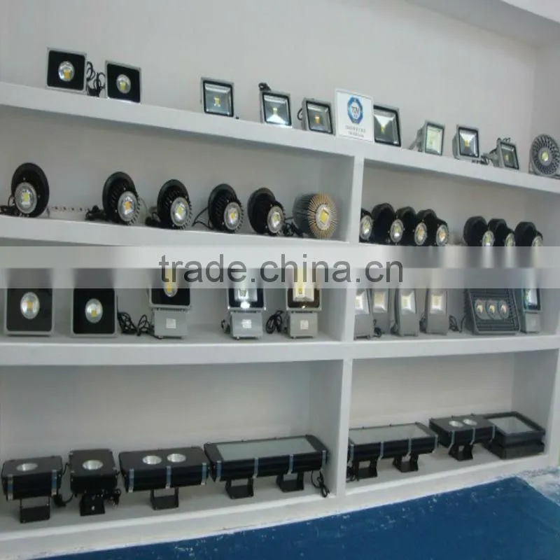 High Brigtness 100W Led Flood light 220V ip65