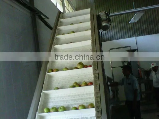 hot sales Apple juice production line(automatic)