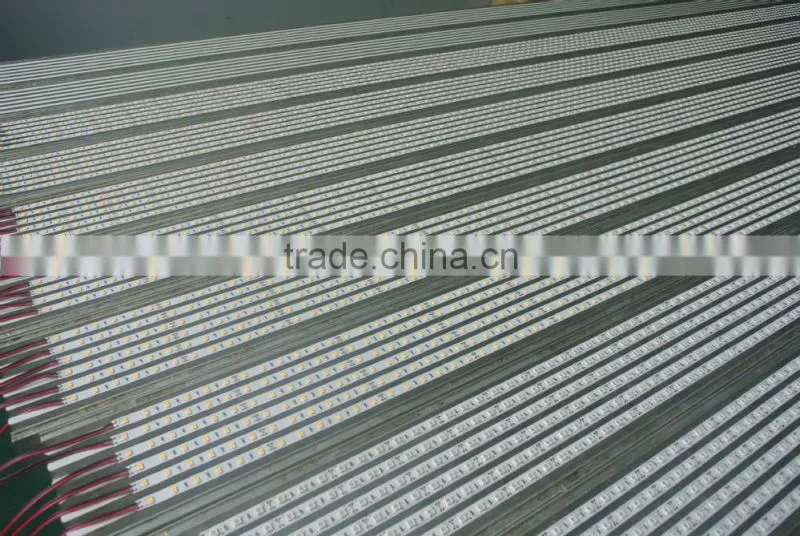 60pcs/m 5630 led strip lights led strip Led strip 5630 waterproof ip66 led strip light 24V 6000k led strip