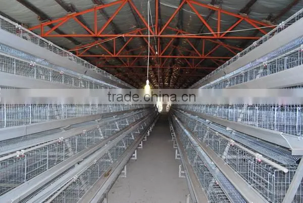 pinchers and nails for fixing chicken cage