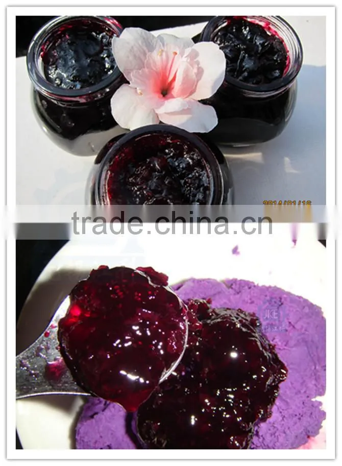 Blueberry Jam/Fruit Jam Production Line Mixing Equipment