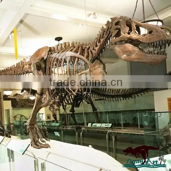 Life-Size Dinosaur Skeleton