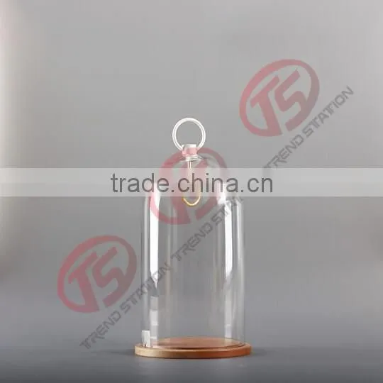 Glass garden decoration cloche