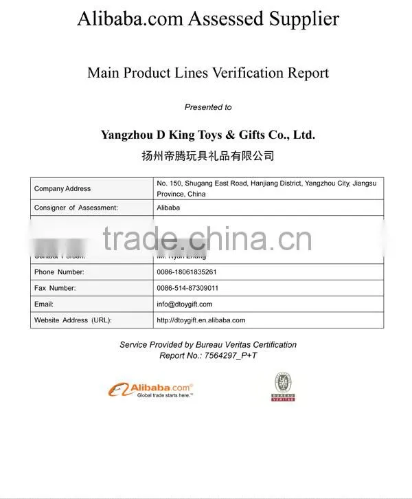 Test Report
