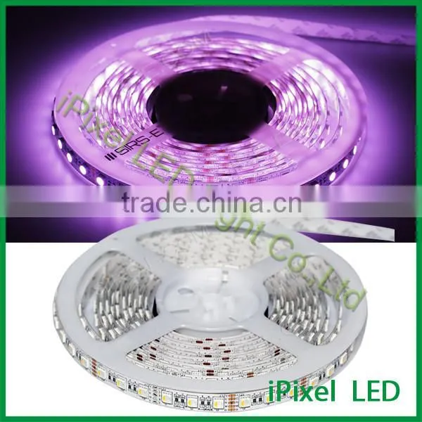 DC12V DC24V Available 5050 RGBW/RGBWW/RGBCW LED Strip