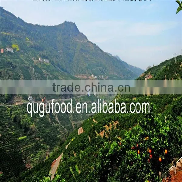 2014 New crop orange tea in jar best price